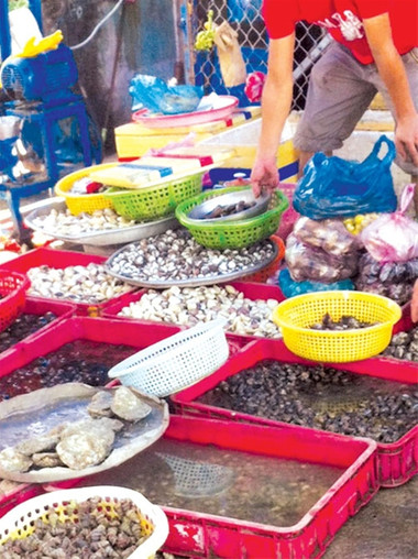 Nấm tươi không hạn sử dụng 1 Nấm tươi không hạn sử dụng 1