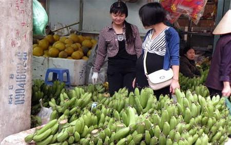 Chuối xanh - Mặt hàng đắt nhất trong dịp Tết 1 Chuối xanh tăng giá gấp 10 lần ngày thường