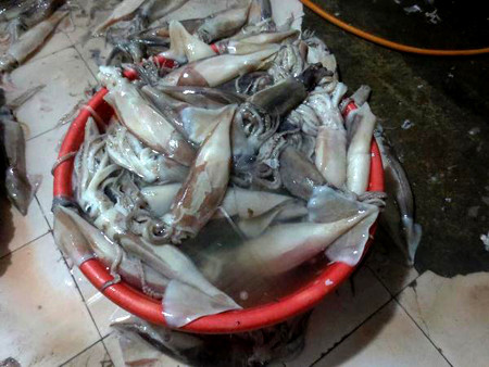 Mực ươn, thối được ngâm tẩy rồi bán ra chợ Long Biên 2 Mực ươn, thối được ngâm tẩy rồi bán ra chợ Long Biên