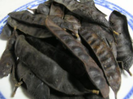 Bồ kết 1 Bồ kết 1