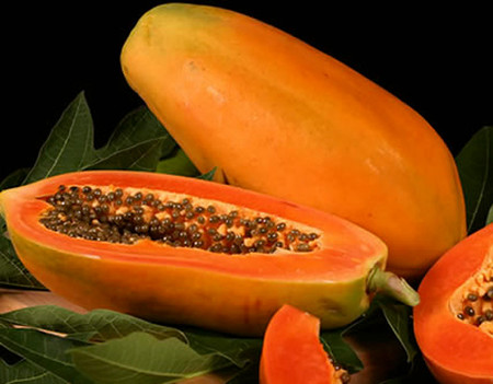 8. Đu đủ 1 8. Đu đủ 1