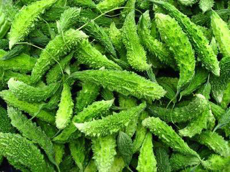 Khổ qua (mướp đắng) 1 Khổ qua (mướp đắng) 1