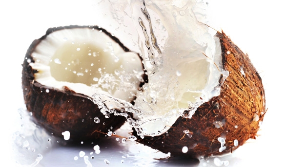 3. Trái dừa 1 3. Trái dừa 1