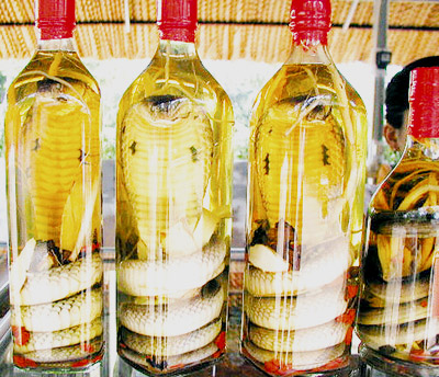 Lợi bất cập hại từ những món rượu bổ tăng cường sinh lý 1