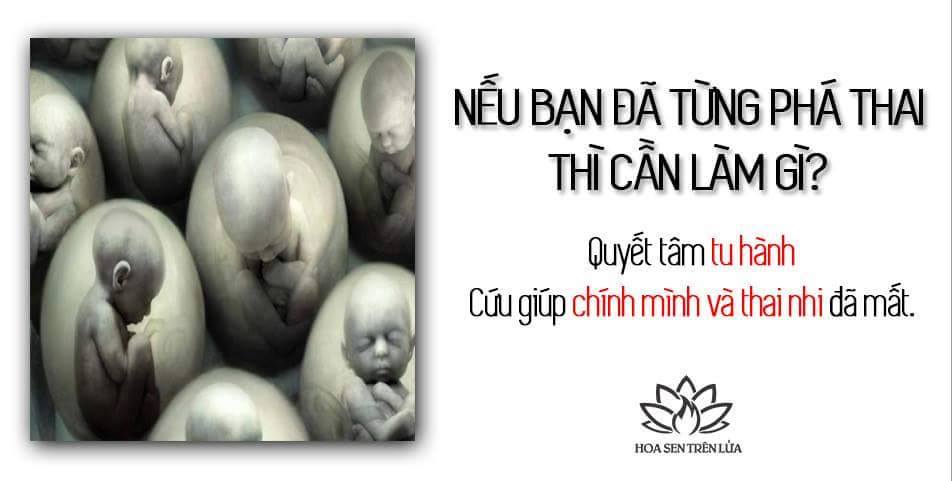QUYẾT TÂM TU HÀNH - CỨU CHÍNH MÌNH VÀ THAI NHI ĐÃ MẤT 1 QUYẾT TÂM TU HÀNH - CỨU CHÍNH MÌNH VÀ THAI NHI ĐÃ MẤT 1