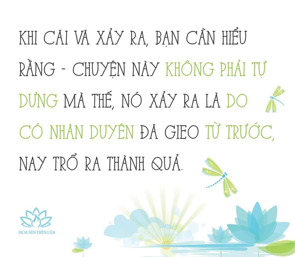 Khi vợ chồng bất đồng, cãi vã: nên làm gì phù hợp 1