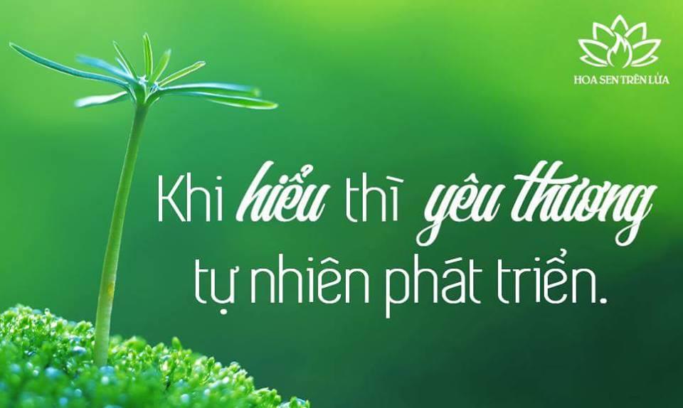 Làm gì khi xảy ra hờn giận trong tình yêu? 1