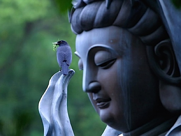 Đọc thần chú Quán Thế Âm Bồ tát 1 Đọc thần chú Quán Thế Âm Bồ tát 1