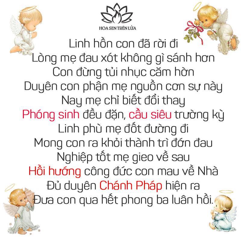 CẦU SIÊU VÀ HỒI HƯỚNG CÔNG ĐỨC CHO THAI NHI ĐÃ MẤT 1 CẦU SIÊU VÀ HỒI HƯỚNG CÔNG ĐỨC CHO THAI NHI ĐÃ MẤT 1