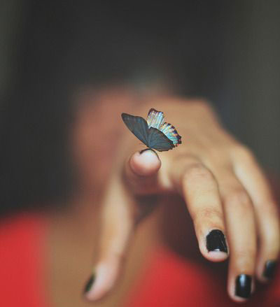 Vụt mất hạnh phúc 2 Vụt mất hạnh phúc 2