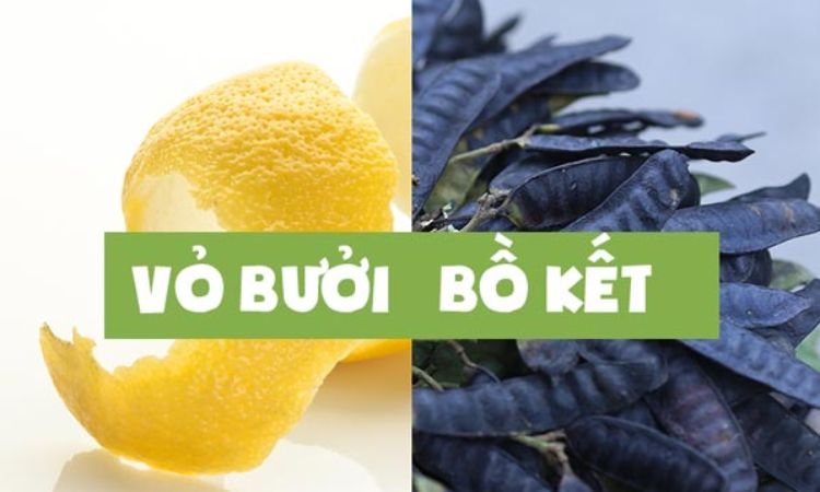 Gội đầu bằng bồ kết và vỏ bưởi giúp tóc mọc nhanh, hết nấm ngứa 1 Gội đầu bằng bồ kết và vỏ bưởi giúp tóc mọc nhanh, hết nấm ngứa 1