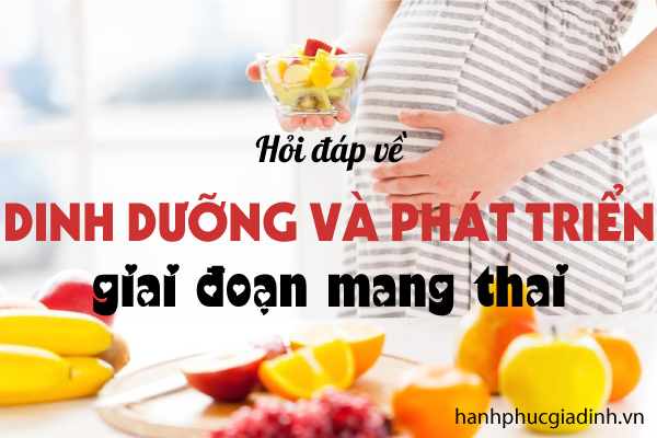 Hỏi đáp về Dinh dưỡng và phát triển giai đoạn mang thai (Phần 1) 1 Hỏi đáp về Dinh dưỡng và phát triển giai đoạn mang thai (Phần 1) 1