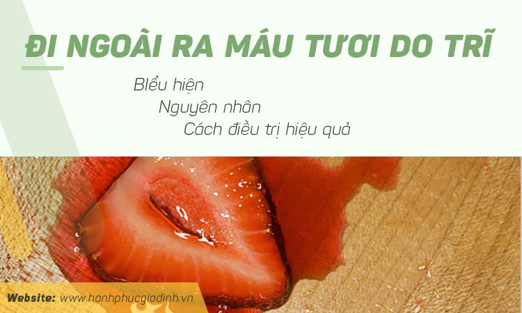 Tìm hiểu về đi ngoài ra máu tươi do trĩ 1 Tìm hiểu về đi ngoài ra máu tươi do trĩ 1