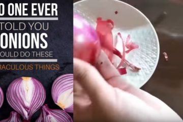 Tự làm thuốc đắp trĩ tại nhà theo y học cổ truyền Ấn Độ Tự làm thuốc đắp trĩ tại nhà theo y học cổ truyền Ấn Độ