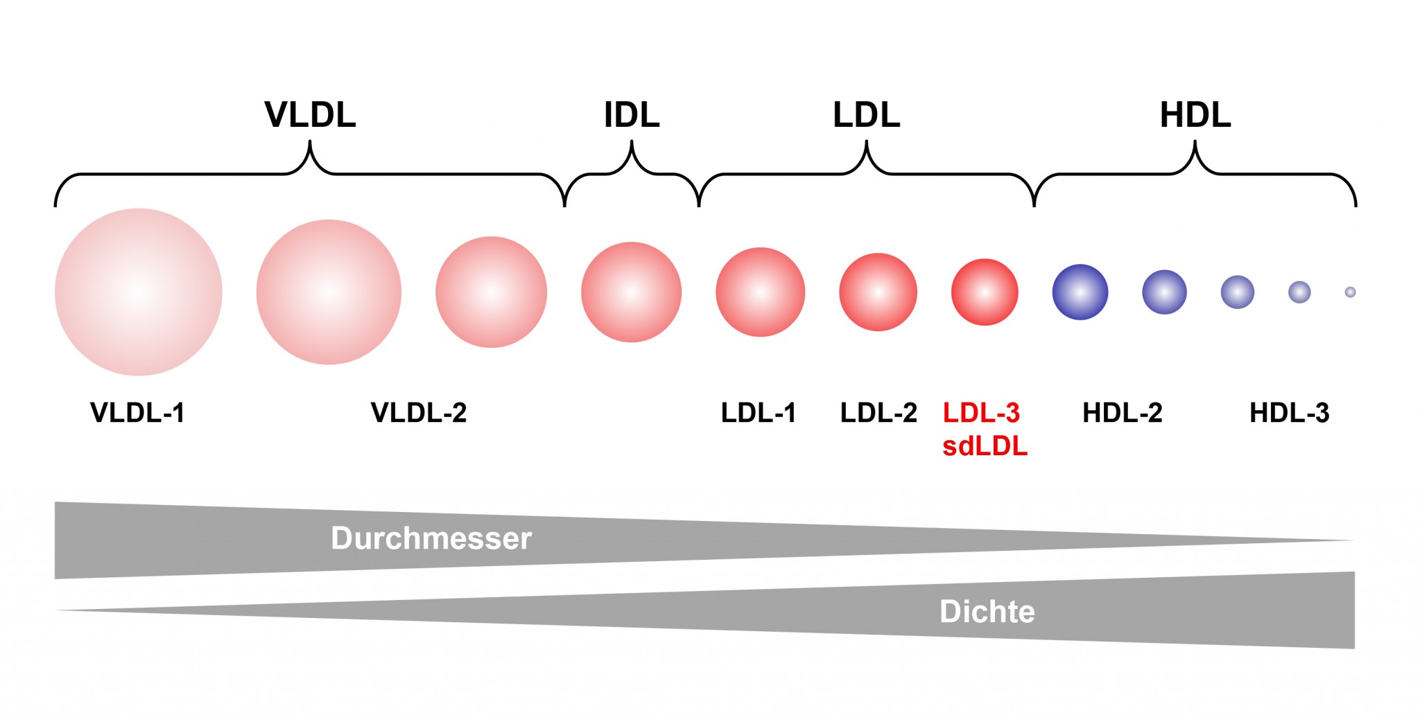CHOLESTEROL và bệnh mất trí nhớ 3 CHOLESTEROL và bệnh mất trí nhớ 3