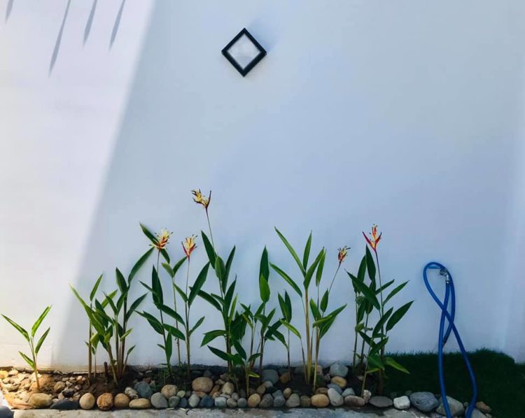 Thiết kế kiến trúc, ngoại cảnh biệt thự 2 tầng 2 mặt tiền hiện đại 6