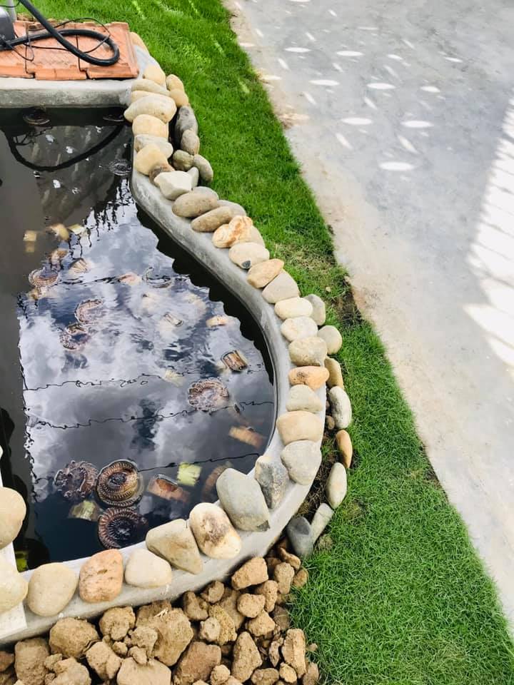 Biệt thự phố 2 mặt tiền hiện đại