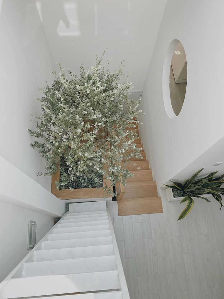 Nhà 40m2 vẫn khiến bạn mê mẩn qua từng đường nét 8