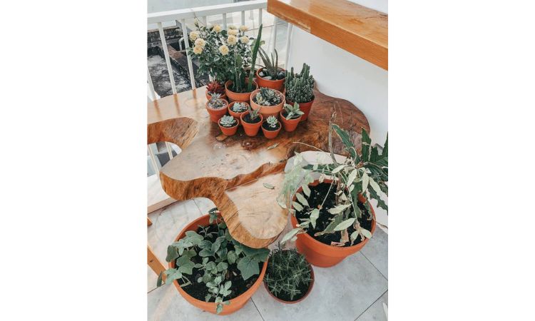 Nhà 40m2 vẫn khiến bạn mê mẩn qua từng đường nét 12