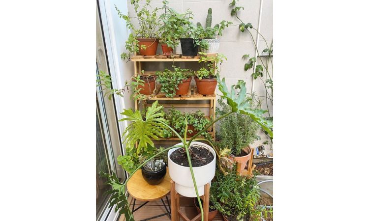 Ngôi nhà 2 tầng phong cách Nhật đơn giản nhưng hiện đại đáng sống 14