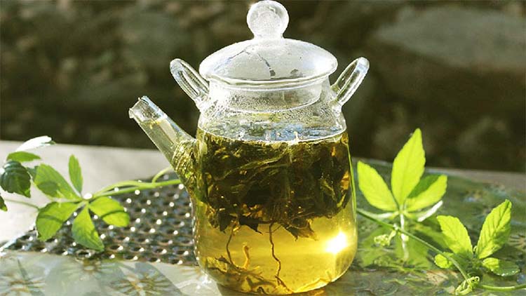 Trà giảo cổ lam 1