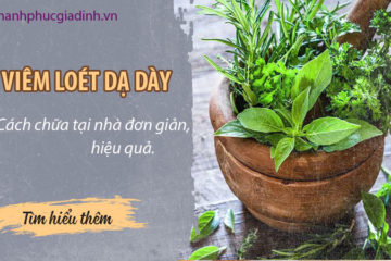 10 bài thuốc dân gian chữa viêm loét dạ dày tại nhà 10 bài thuốc dân gian chữa viêm loét dạ dày tại nhà