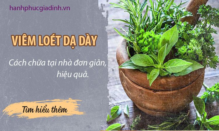 10 bài thuốc dân gian chữa viêm loét dạ dày tại nhà 1
