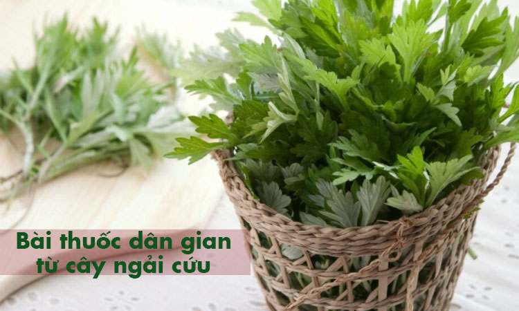 Một số bài thuốc chữa đại tiện ra máu tại nhà 1 Một số bài thuốc chữa đại tiện ra máu tại nhà 1