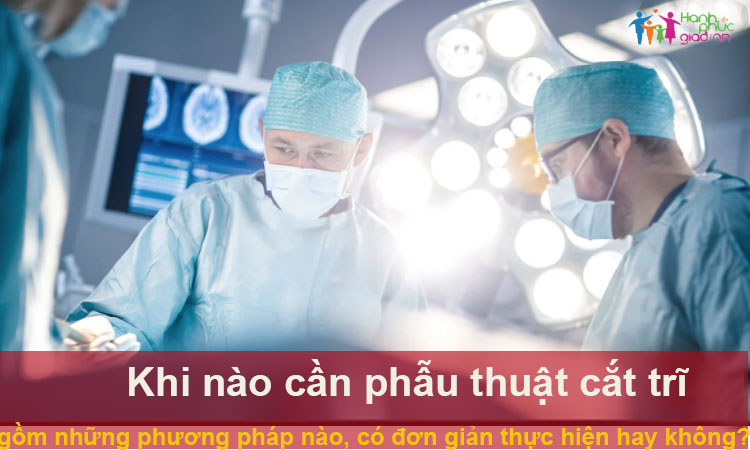 Khi nào nên cắt trĩ? Các phương pháp cắt trĩ phổ biến hiện nay 1 Khi nào nên cắt trĩ? Các phương pháp cắt trĩ phổ biến hiện nay 1