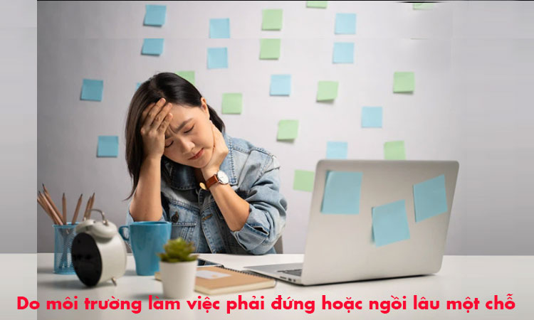Nguyên nhân gây ra bệnh lòi dom 1 Nguyên nhân gây ra bệnh lòi dom 1