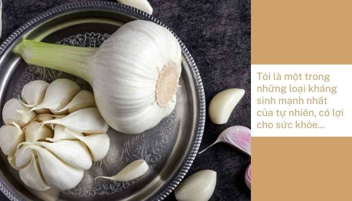 Dùng tỏi để chữa đau rát hậu môn 1 Dùng tỏi để chữa đau rát hậu môn 1