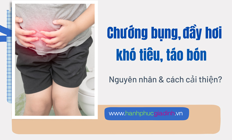 Lý giải nguyên nhân chướng bụng, đầy hơi, khó tiêu, táo bón và cách cải thiện? 1 Lý giải nguyên nhân chướng bụng, đầy hơi, khó tiêu, táo bón và cách cải thiện? 1