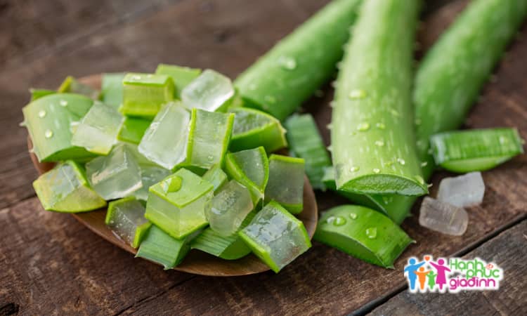 Sử dụng nha đam