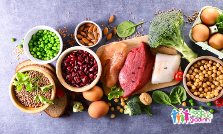 Cung cấp protein vừa phải 1 Bổ sung protein một cách vừa đủ