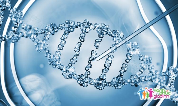 Yếu tố di truyền