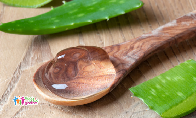 Gel nha đam là một biện pháp cải thiện chàm ở chân