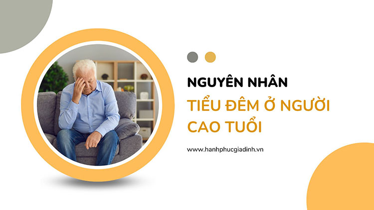 Những nguyên nhân gây tiểu đêm ở người cao tuổi 1 Những nguyên nhân gây tiểu đêm ở người cao tuổi 1