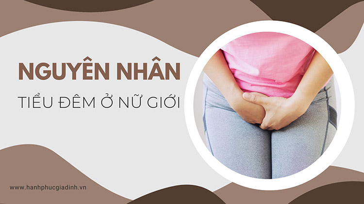 Nguyên nhân tiểu đêm ở nữ giới 1 Nguyên nhân tiểu đêm ở nữ giới 1