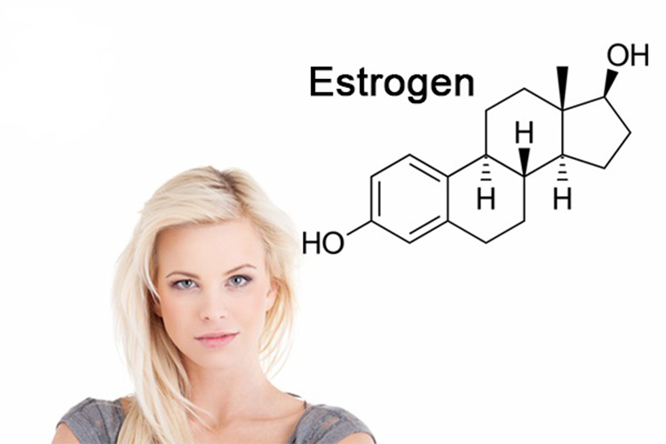 Tác dụng của estrogen đối với phụ nữ 1