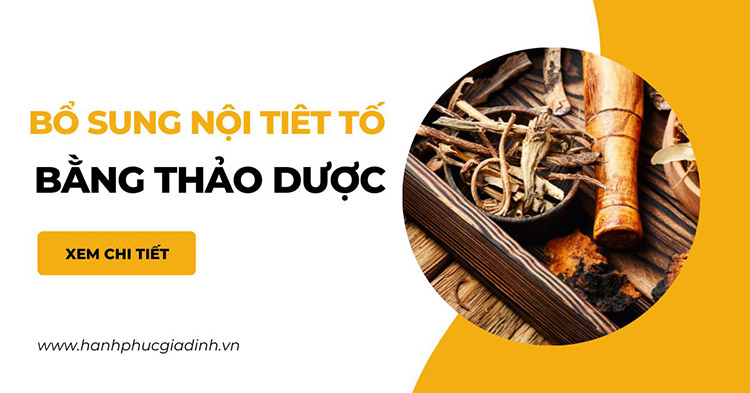 Cách bổ sung nội tiết tố nữ bằng thảo dược an toàn 1