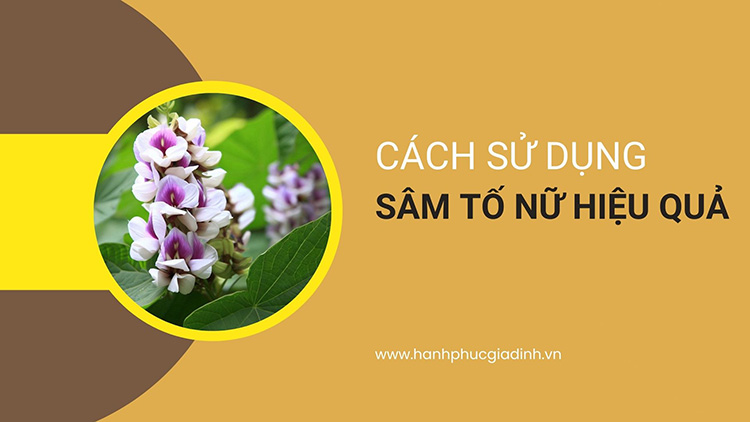 Cách sử dụng cây sâm tố nữ hiệu quả cho chị em phụ nữ 1