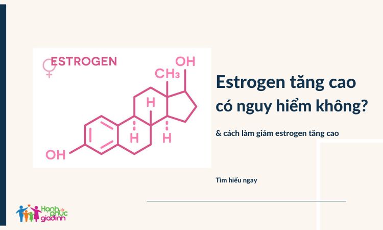 Giải đáp - Estrogen tăng cao có nguy hiểm không? 1