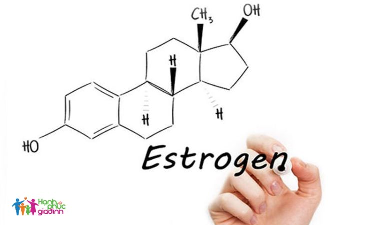 Nguyên nhân khiến estrogen tăng cao 1