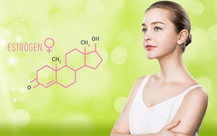 Cách thảo dược bổ sung nội tiết tố nữ hoạt động 1