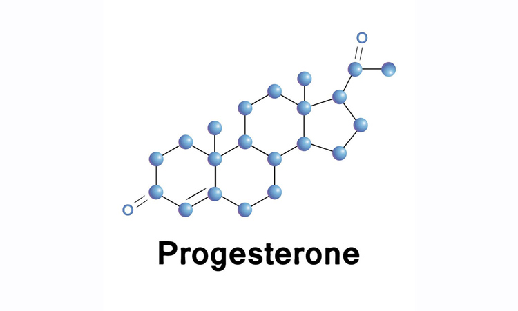 Vai trò của progesterone 1