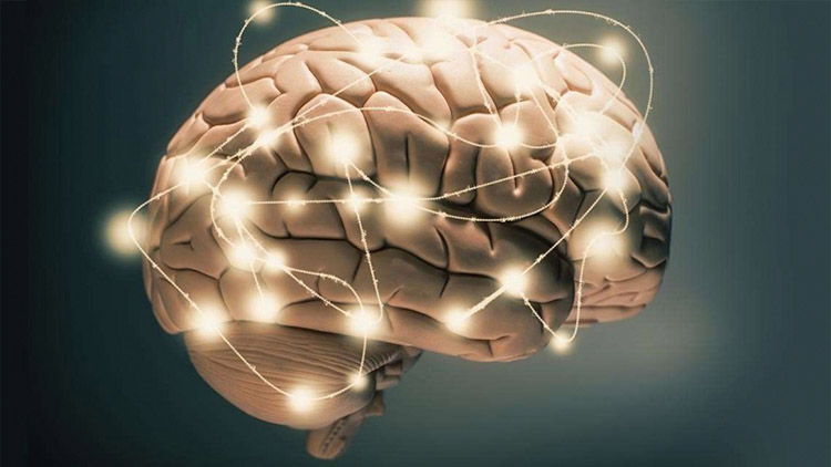 Lợi ích của cây sâm tố nữ đối với phụ nữ 1