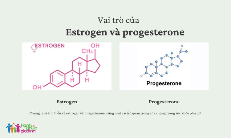 Vai trò của estrogen và progesterone với sức khỏe của phụ nữ 1