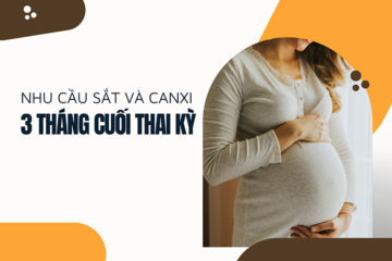 Nhu cầu sắt và canxi 3 tháng cuối thai kỳ: bao nhiêu là đủ?