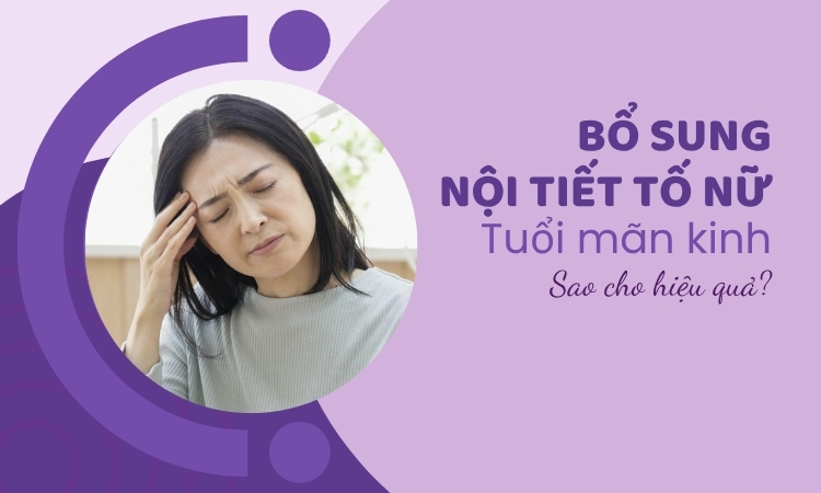 Vì sao cần bổ sung nội tiết tuổi mãn kinh? Cách bổ sung hiệu quả 1